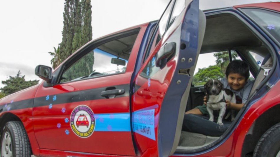 Vamos de paseo... ¡­en un taxi para gatos y perros!