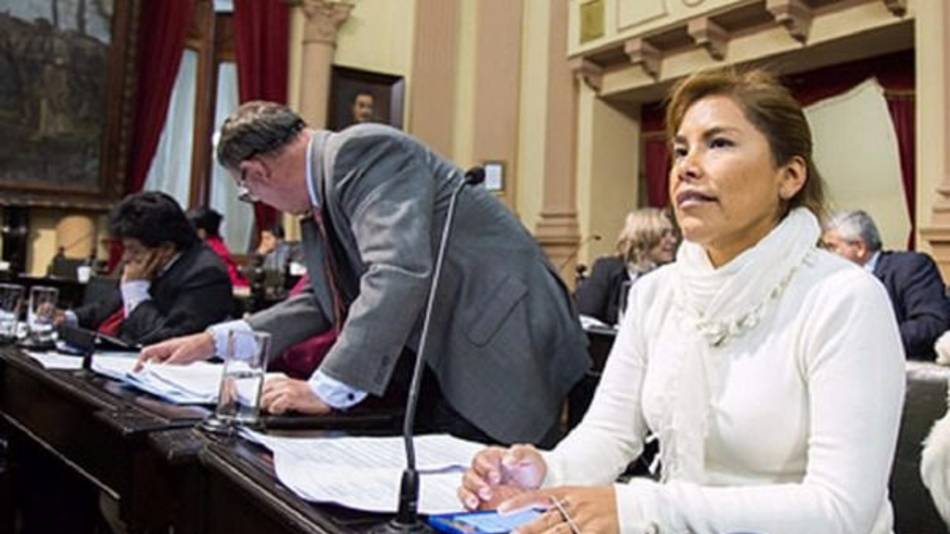 La Cámara Baja aprobó el  acuerdo con la Cruz Roja
