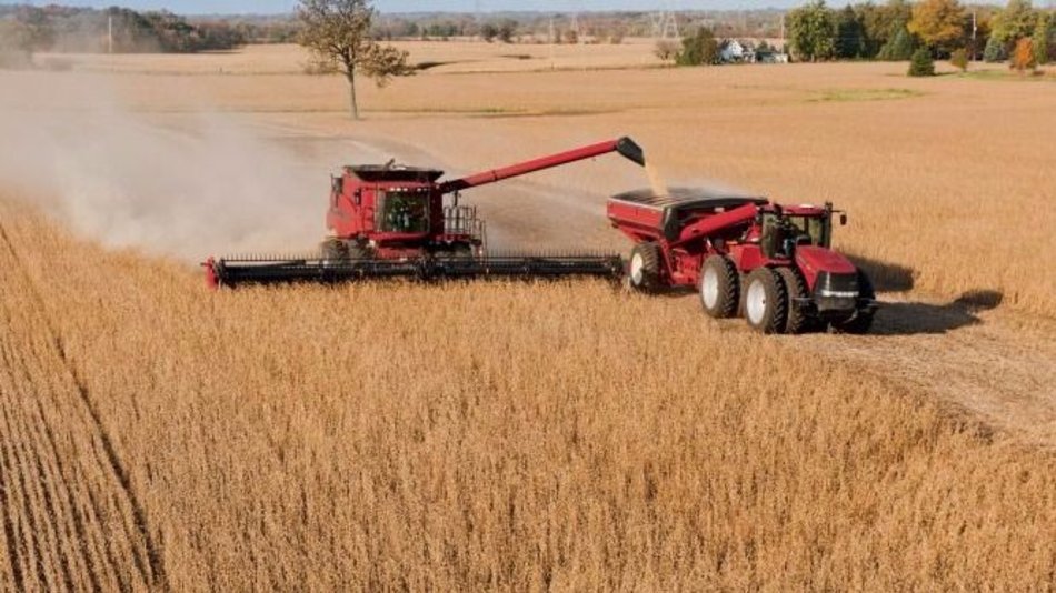 Liberan a los exportadores de la obligación de liquidar divisas