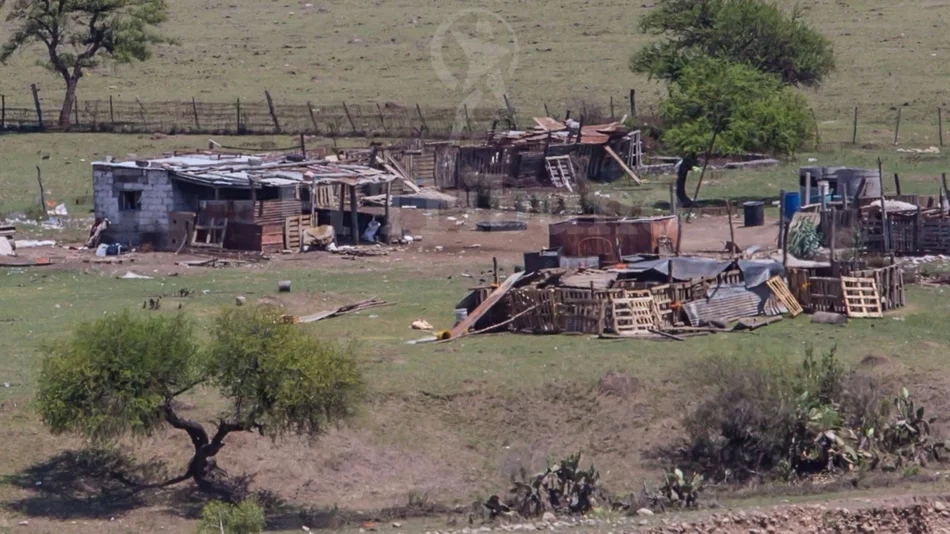 Vecinos de Grand Bourg libran la "guerra del cerdo"