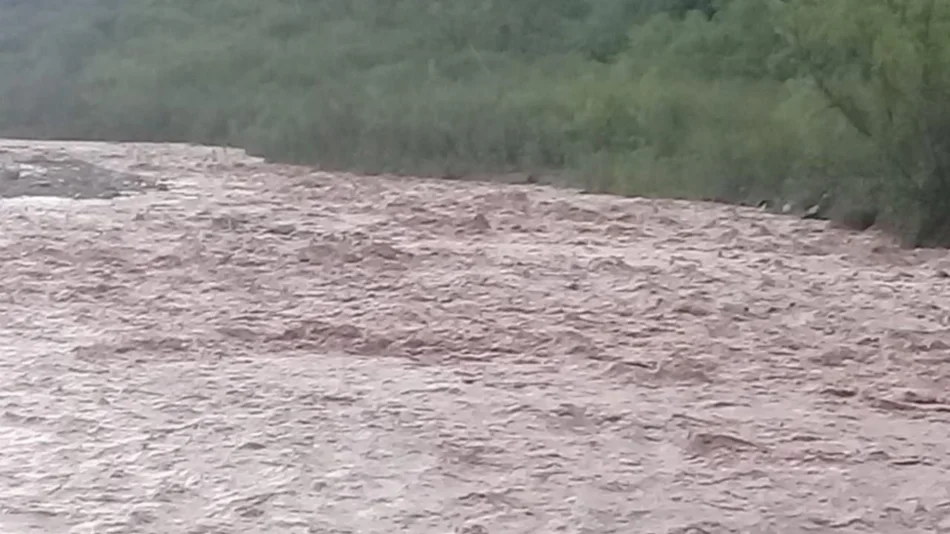 Una creciente arrasó con una toma del río Conchas y medio Metán está sin agua