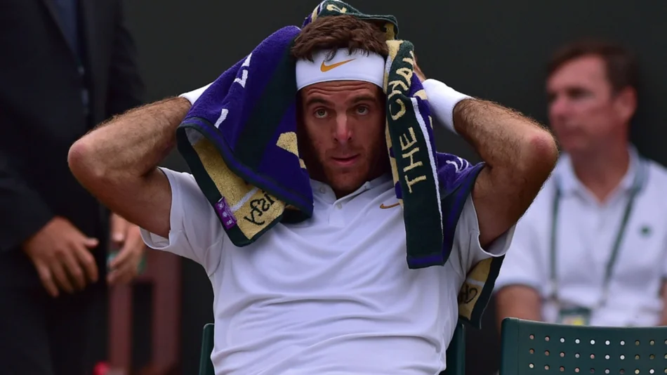 Del Potro habló de su recuperación para volver a jugar en 2019 