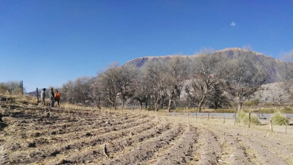 Siembran proyectos verdes para sustento en la Quebrada del Toro