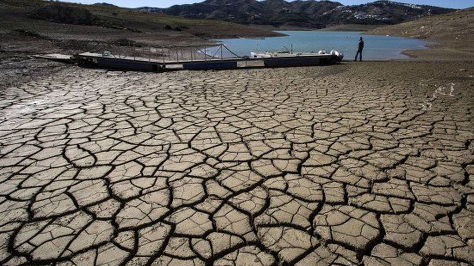 Once mil científicos alertaron que el planeta está en una emergencia climática
