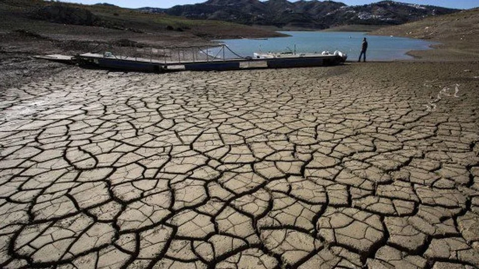 Once mil científicos alertaron que el planeta está en una emergencia climática