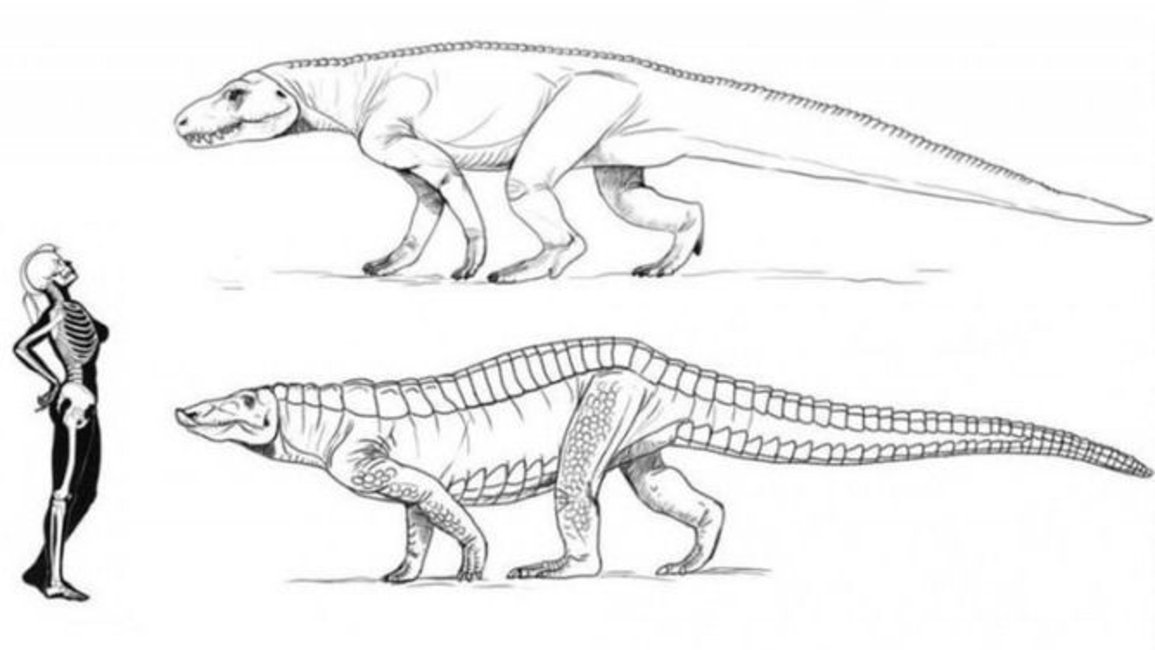 Científicos argentinos descubren en Bolivia huellas de un animal que precedió a los dinosaurios