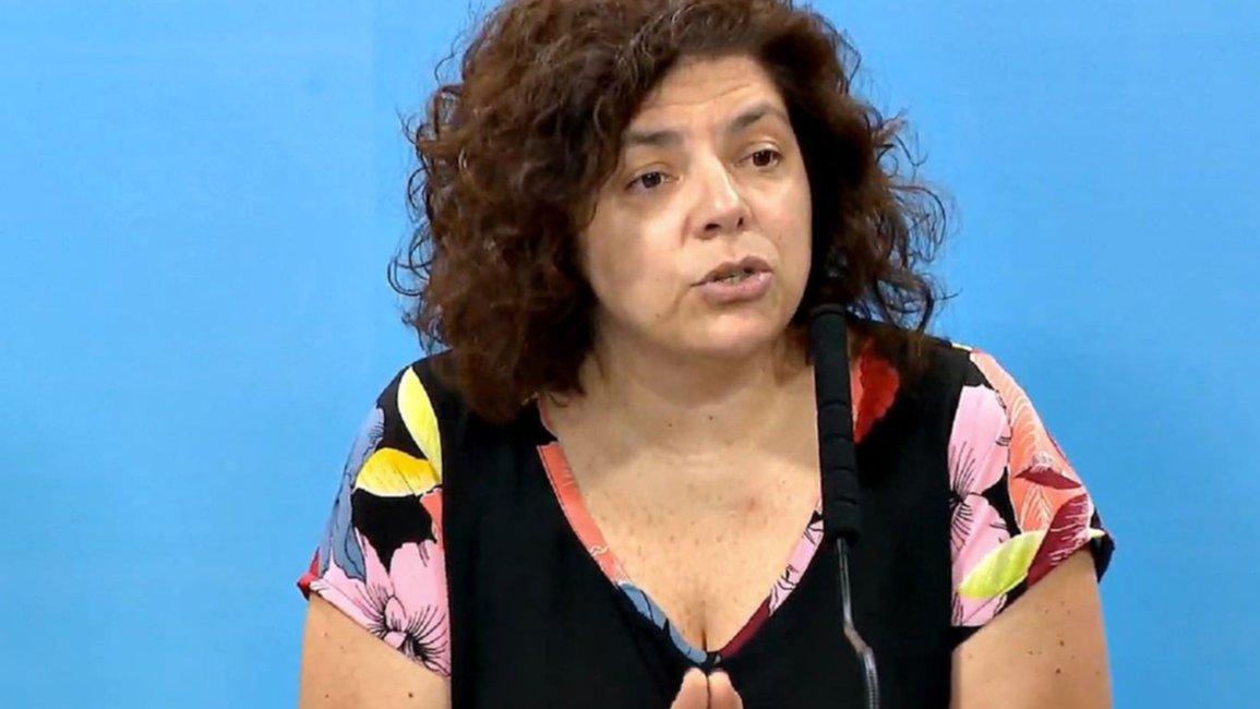 Vizzotti salió a dar tranquilidad en cuanto a las vacunas: "No se está salteando ningún paso"