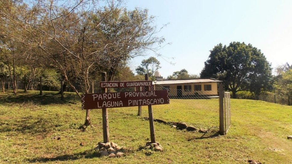 Registraron imágenes de yaguaretés y tapires en un parque provincial salteño