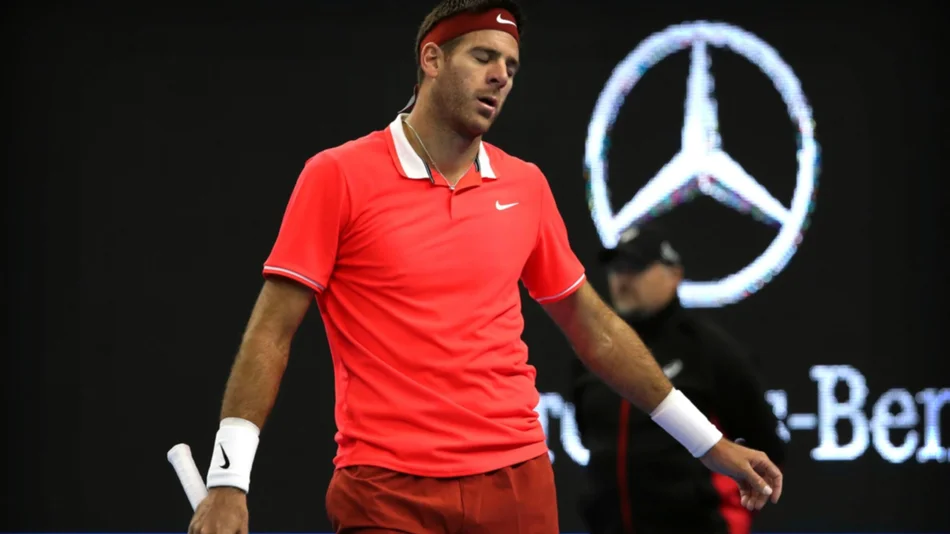 Del Potro: “Me está costando mucho volver”
