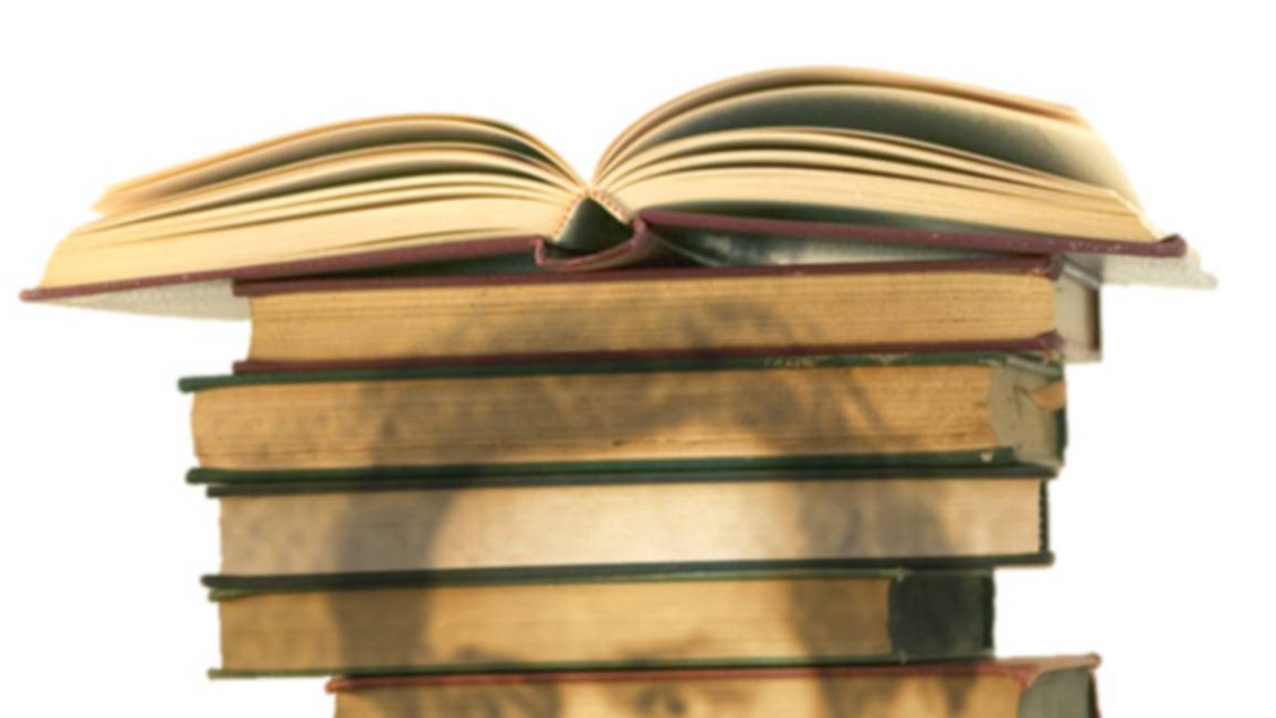 Bibliografía güemesiana