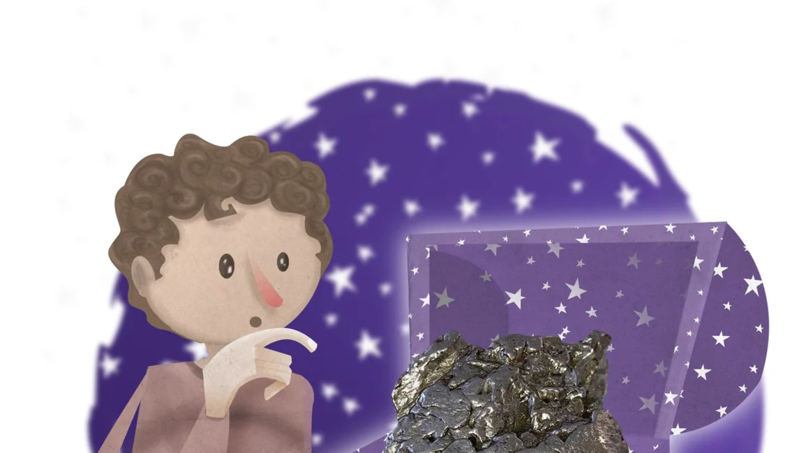 Fósiles, rocas y meteoritos...