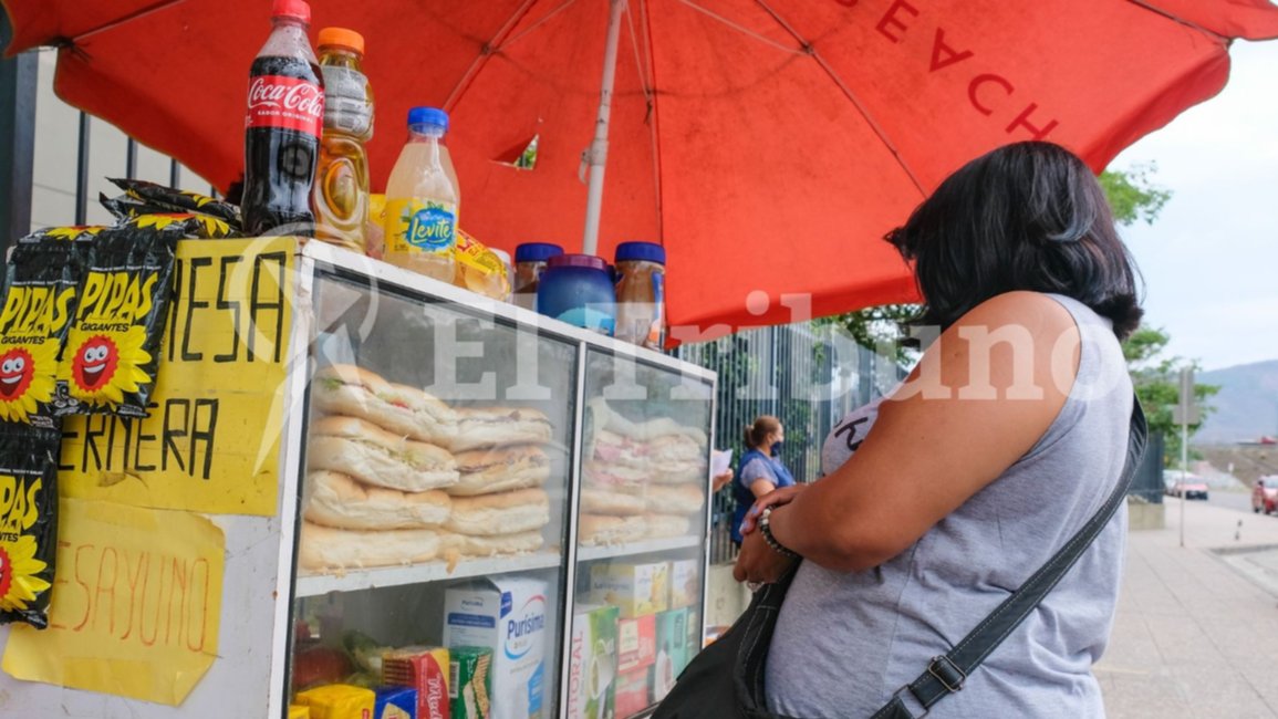 Salmonella: advierten sobre portadores sanos con la bacteria 