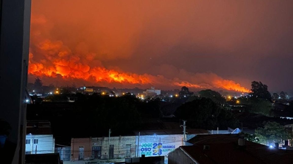 Investigarán si los incendios en Orán fueron provocados para aprovechar ilegítimamente la tierra arrasada