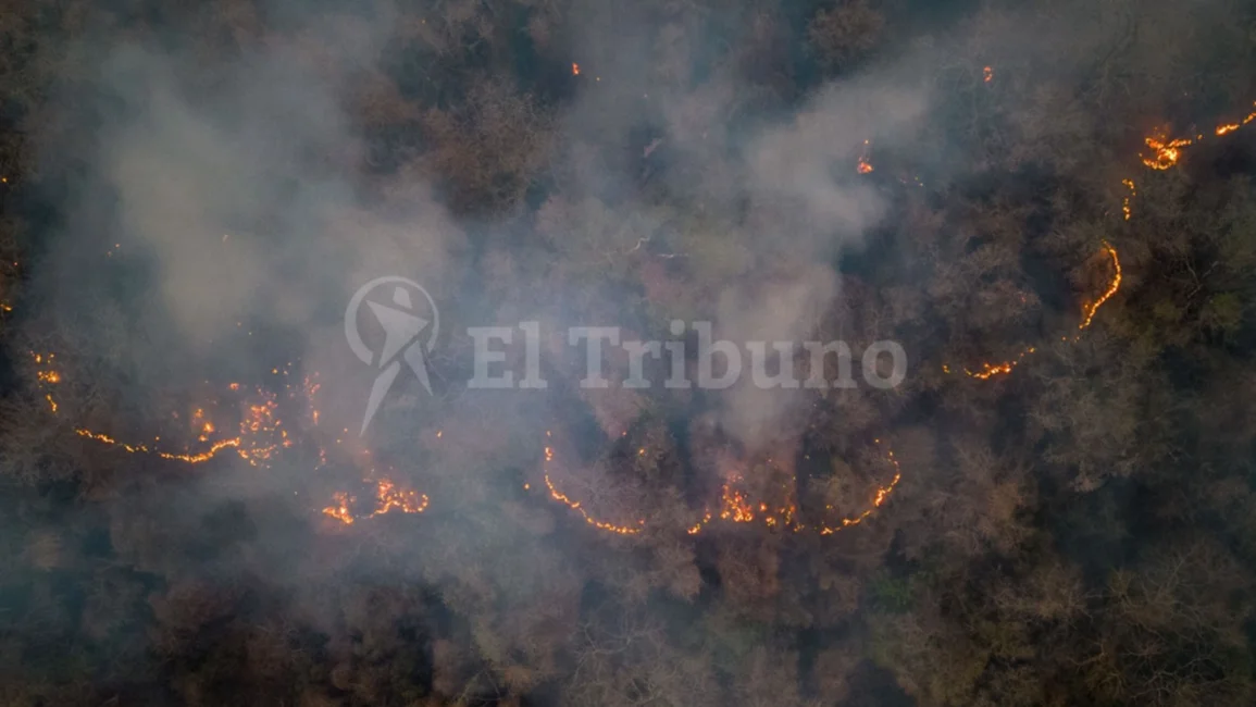 Isla de Cañas: Los árboles caen como en estampidas entre las llamas