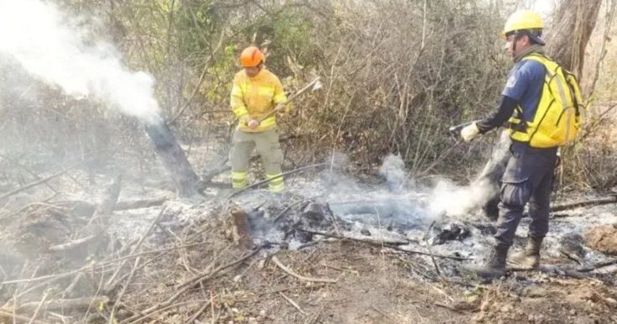 Las Provincias De Jujuy Y Salta Continúan Con Focos Activos De Incendios Forestales 4165