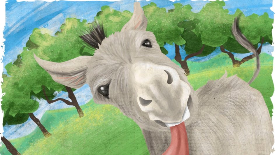 Reclamo arzobispal por las travesuras de un "burro hechor"
