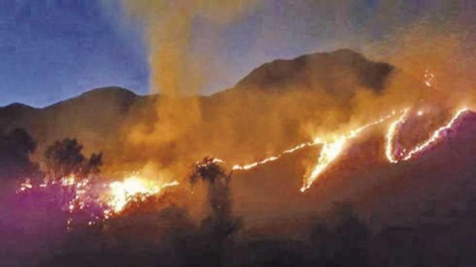 El fuego arrasa con animales y bosques de una reserva natural de Tarija y piden ayuda a Salta