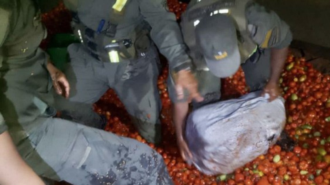 Llevaba una carga completa de cannabis y tomate