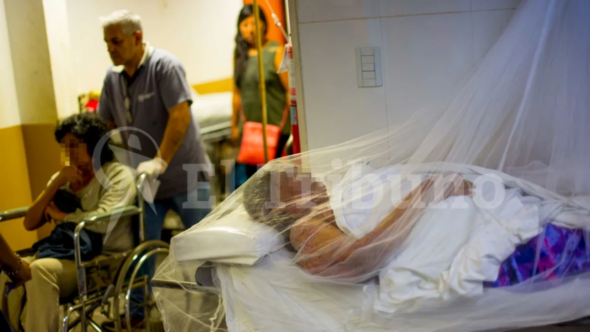Una mujer del norte salteño internada por dengue.