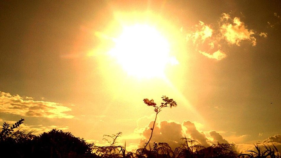 Calor en Salta: ayer la máxima rozó el récord de los últimos 40 años