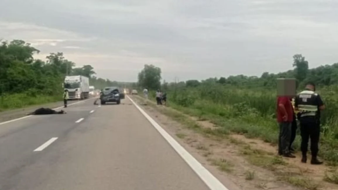 Un caballo se cruzó en la Ruta Nacional 50 y fue embestido por dos vehículos