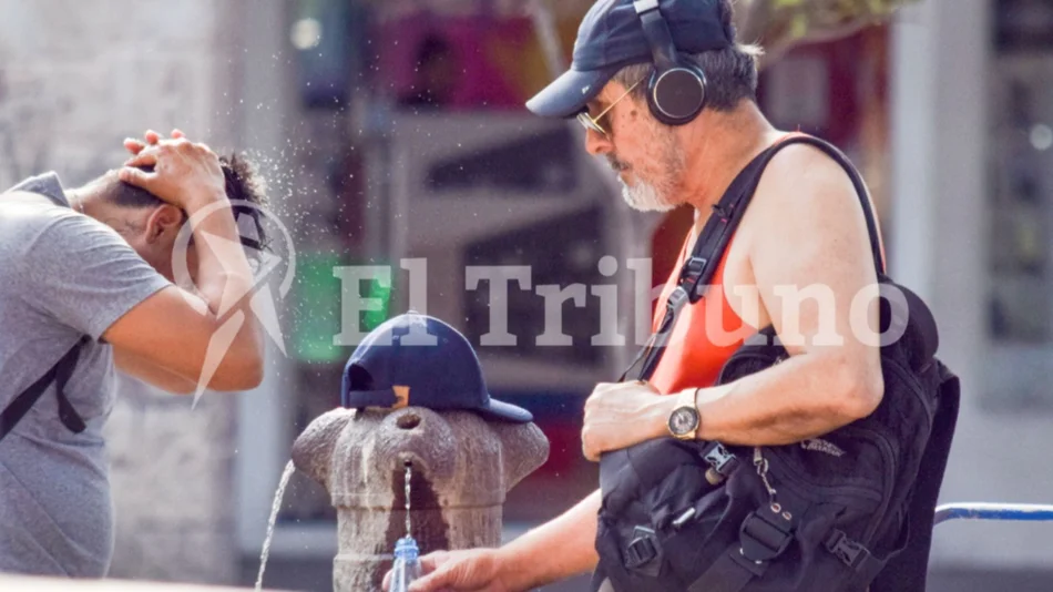 El consumo de agua en los días cálidos es fundamental.