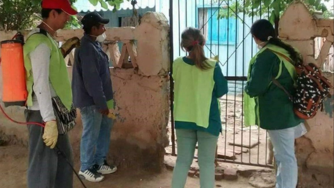 Alarma por la presencia de mosquitos del dengue en Orán