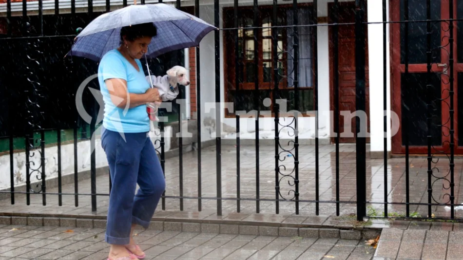 Clima en Salta: la lluvia amagó en zona norte pero se mantiene el alerta por fuertes tormentas 