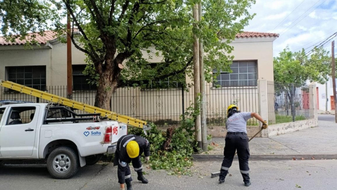 Lluvia en Salta: en la ciudad llovieron 48 milímetros, no hubo evacuados, pero sí se cayeron árboles y postes