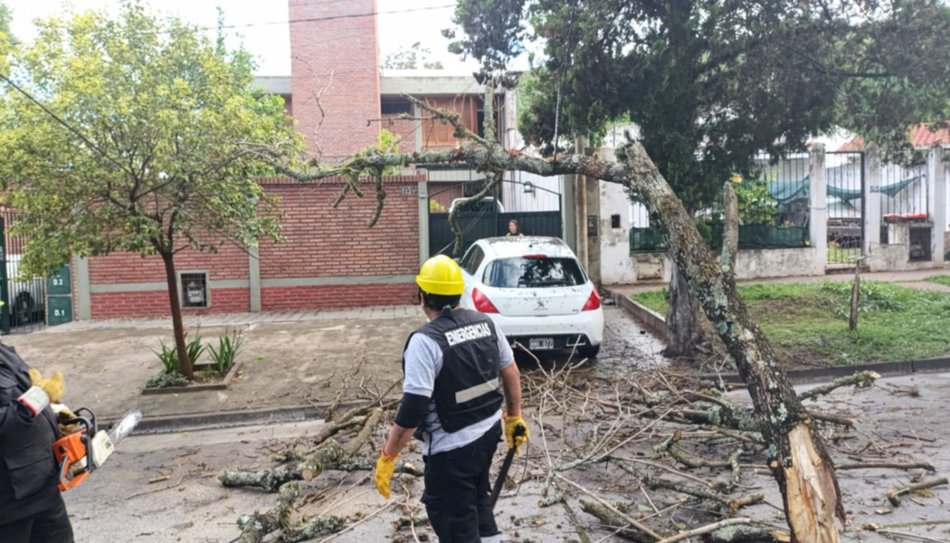 Lluvia en Salta: en la ciudad llovieron 48 milímetros, no hubo evacuados, pero sí se cayeron árboles y postes- Lluvia en Salta: en la ciudad llovieron 48 milímetros, no hubo evacuados, pero sí se cayeron árboles y postes