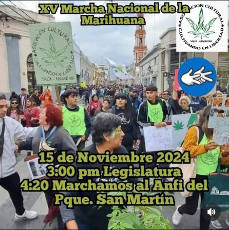 Marihuana en Salta: ¿a favor o en contra del cultivo personal en la casa?