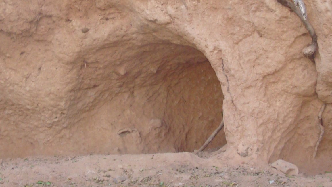 Vida y transformación que produjo en la corteza terrestre