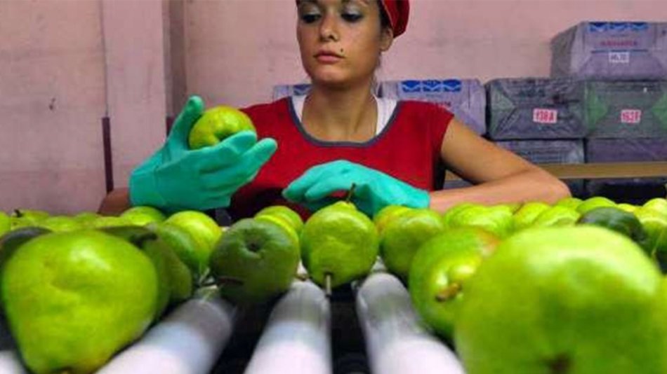 Las exportaciones pymes crecieron un 30 por ciento interanual en volumen
