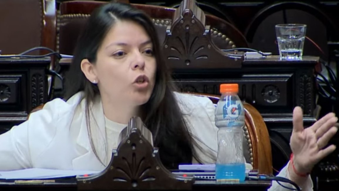 Emilia Orozco sufrió un desmayo antes de la sesión por la "Ficha Limpia" en Diputados