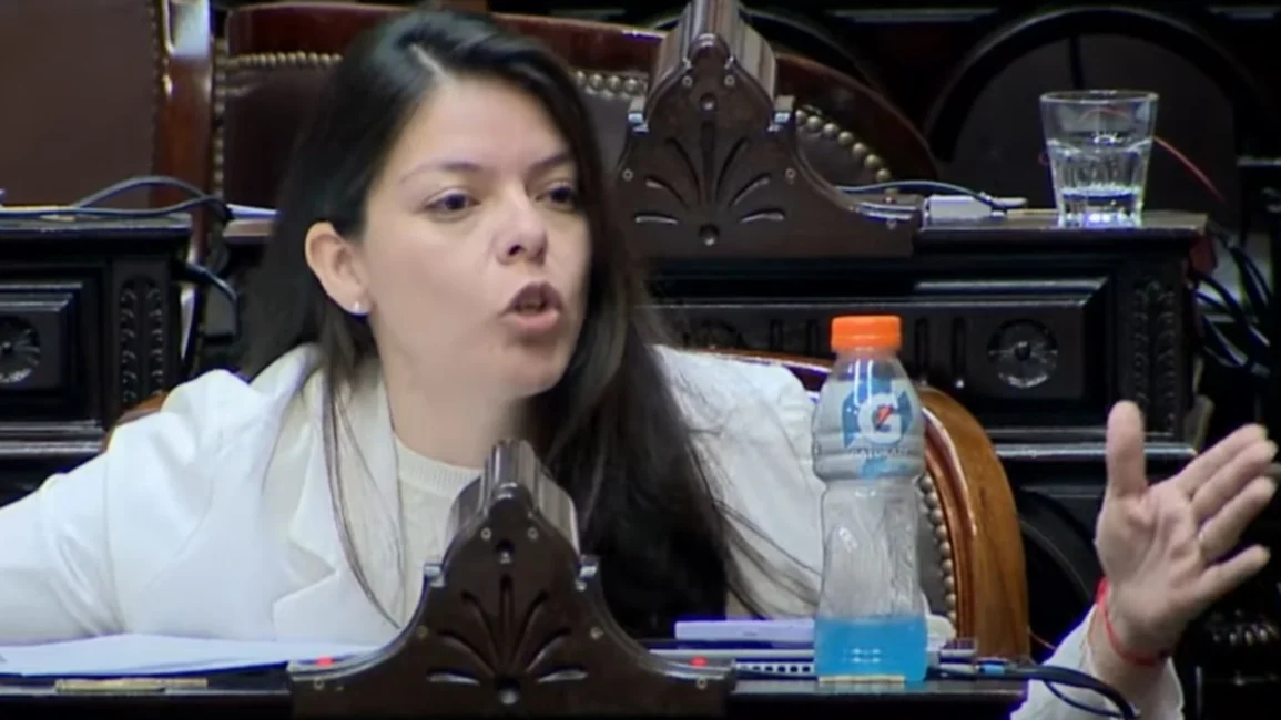 Emilia Orozco sufrió un desmayo antes de la sesión por la "Ficha Limpia" en Diputados