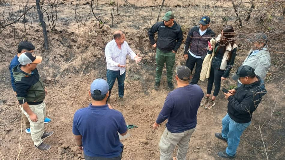 Narcotráfico en Salta: encontraron droga enterrada donde intentó aterrizar una avioneta y ya son 364 kilos de cocaína secuestrados