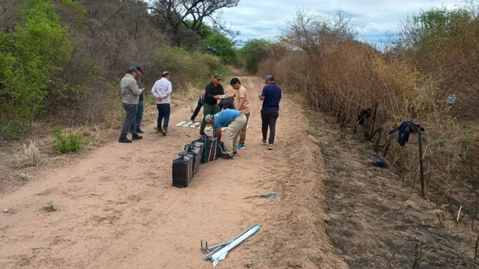 Narcotráfico en Salta: encontraron droga enterrada donde intentó aterrizar una avioneta y ya son 364 kilos de cocaína secuestrados