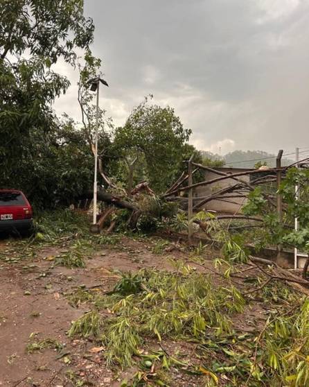 VIDEO. Fuerte temporal en Aguas Blancas: ráfagas de viento de más de 100 km/h generaron destrozos- VIDEO. Fuerte temporal en Aguas Blancas: ráfagas de viento de más de 100 km/h generaron destrozos