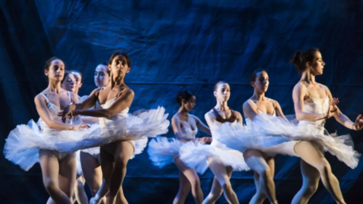 El Ballet de la Provincia repasará en una noche las principales obras del año