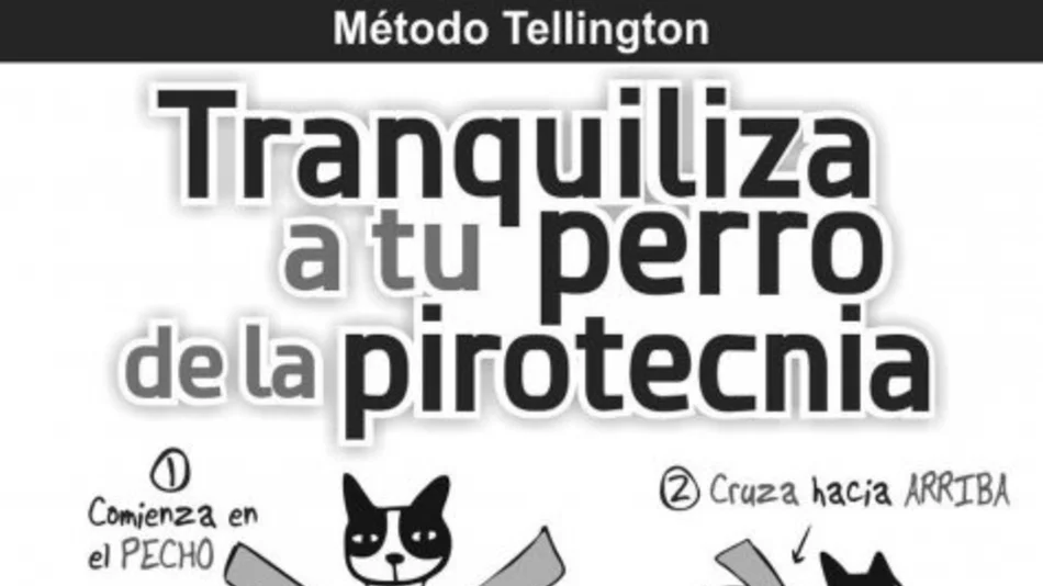 Pirotecnia, un serio problema sin solución