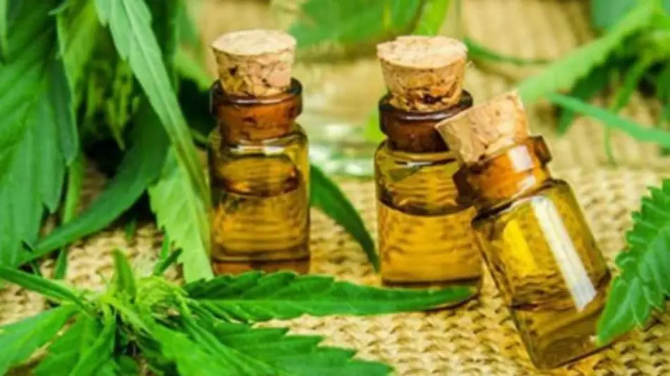 El Gobierno provincial acordó la provisión de cannabis medicinal con una empresa canadiense