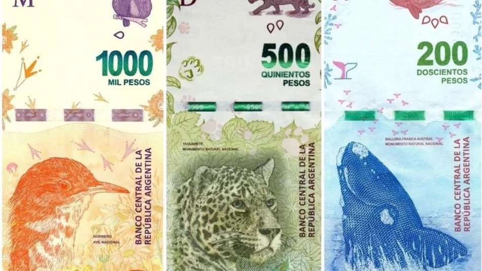 El Banco Central analiza lanzar billetes de 2 mil o 5 mil pesos y sacar a los animales