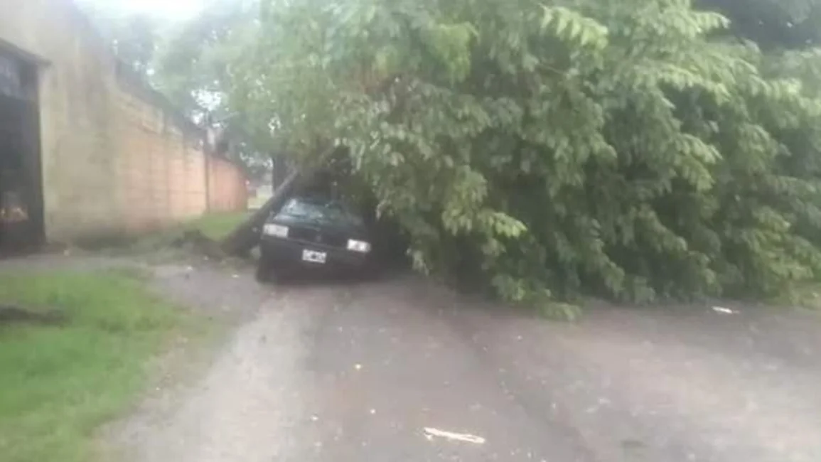Fuerte temporal en Rosario de la Frontera: caída de árboles y calles inundadas