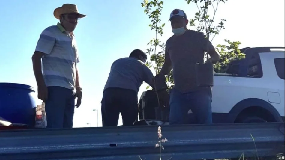 Docentes cerrillanos continúan plantando árboles a la vera de la autopista