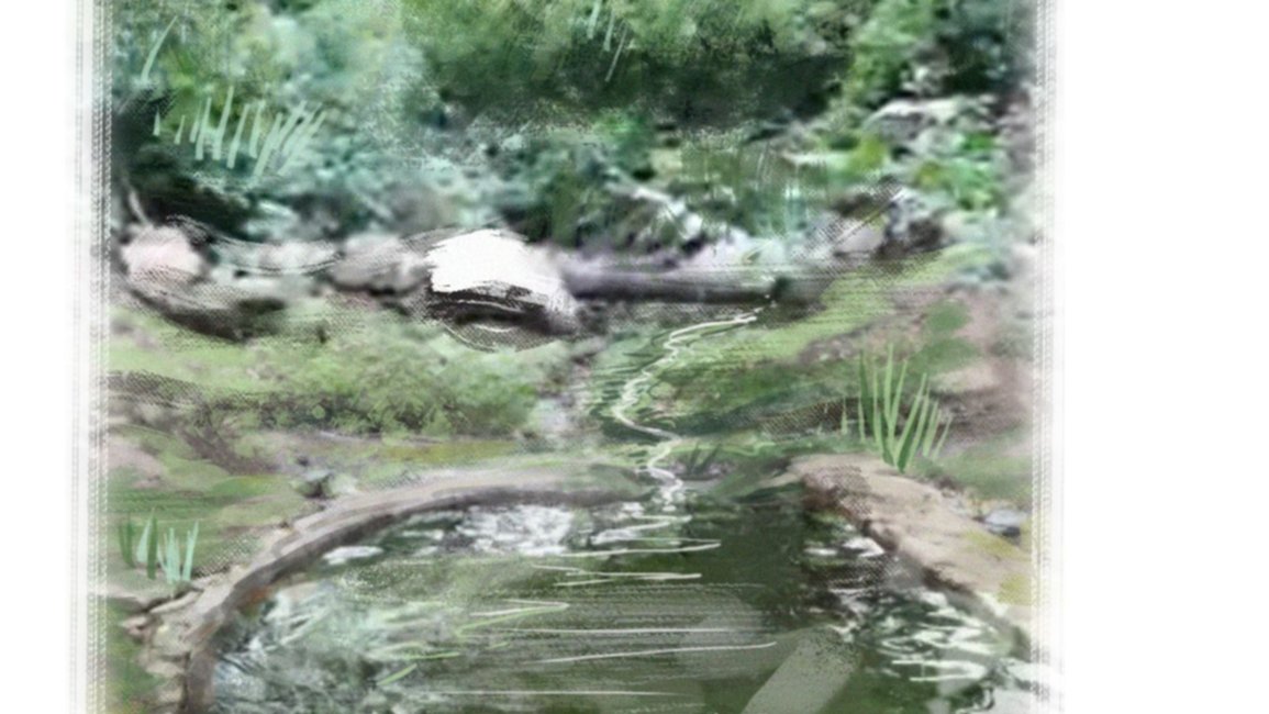  Maravillas y secretos de las aguas termales 