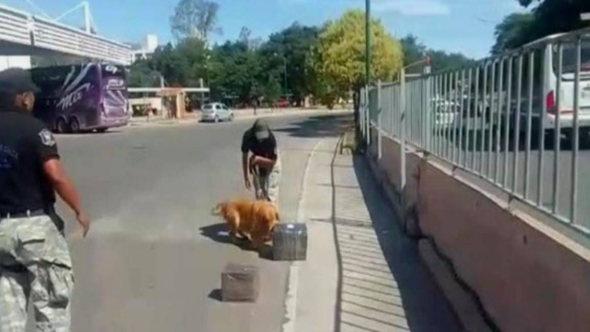 Desarticulan una organización narcocriminal: diez detenidos y más de 40 dosis de droga secuestrada