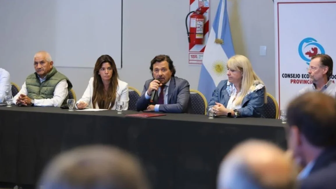 El titular del Consejo Económico Social saldrá de una terna