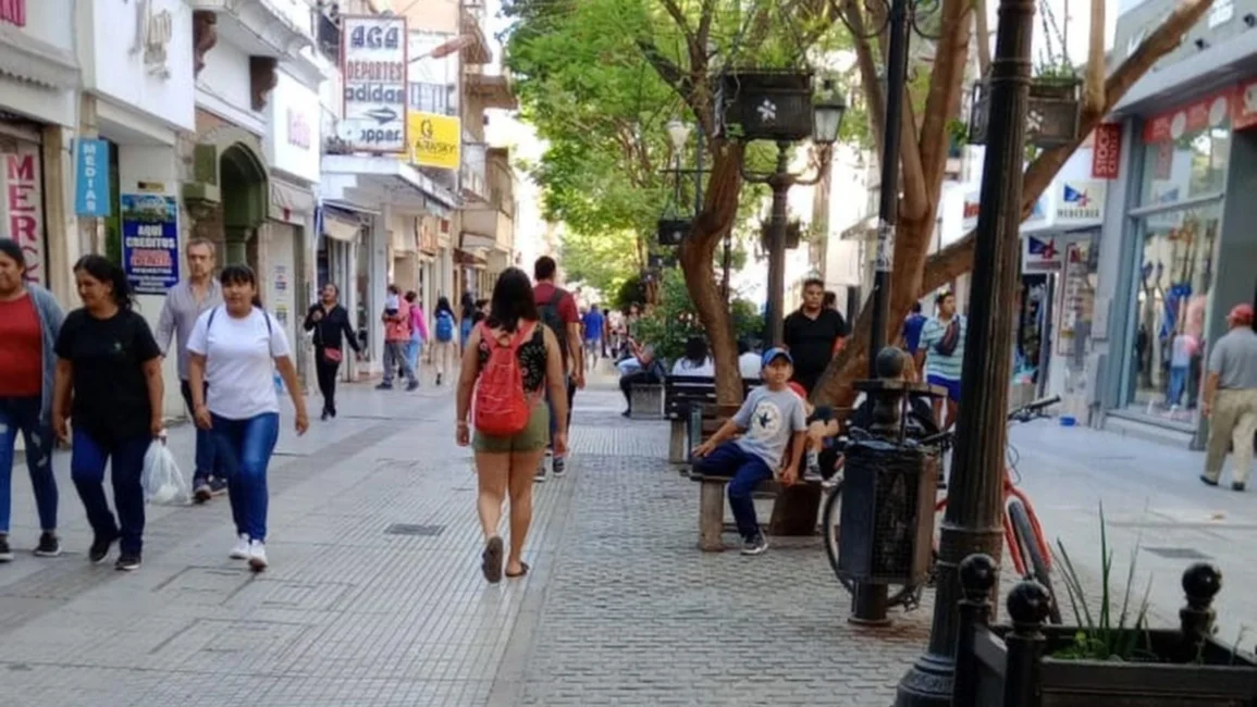 Hubo operativos para evitar la venta ilegal en el centro