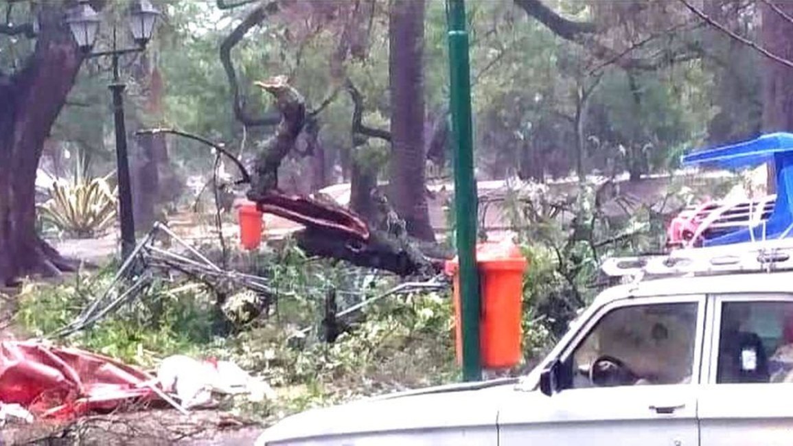 Sandra es feriante en la plaza Güemes: el temporal derribó un tronco que le quebró la pierna