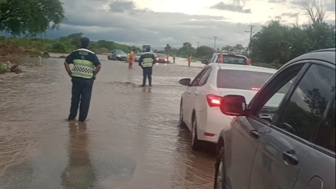 Caminos anegados y árboles caídos por la intensa caída de agua en la provincia
